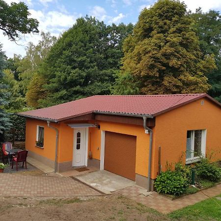 Ferienhaus Dubener Heide Lägenhet Bad Düben Exteriör bild