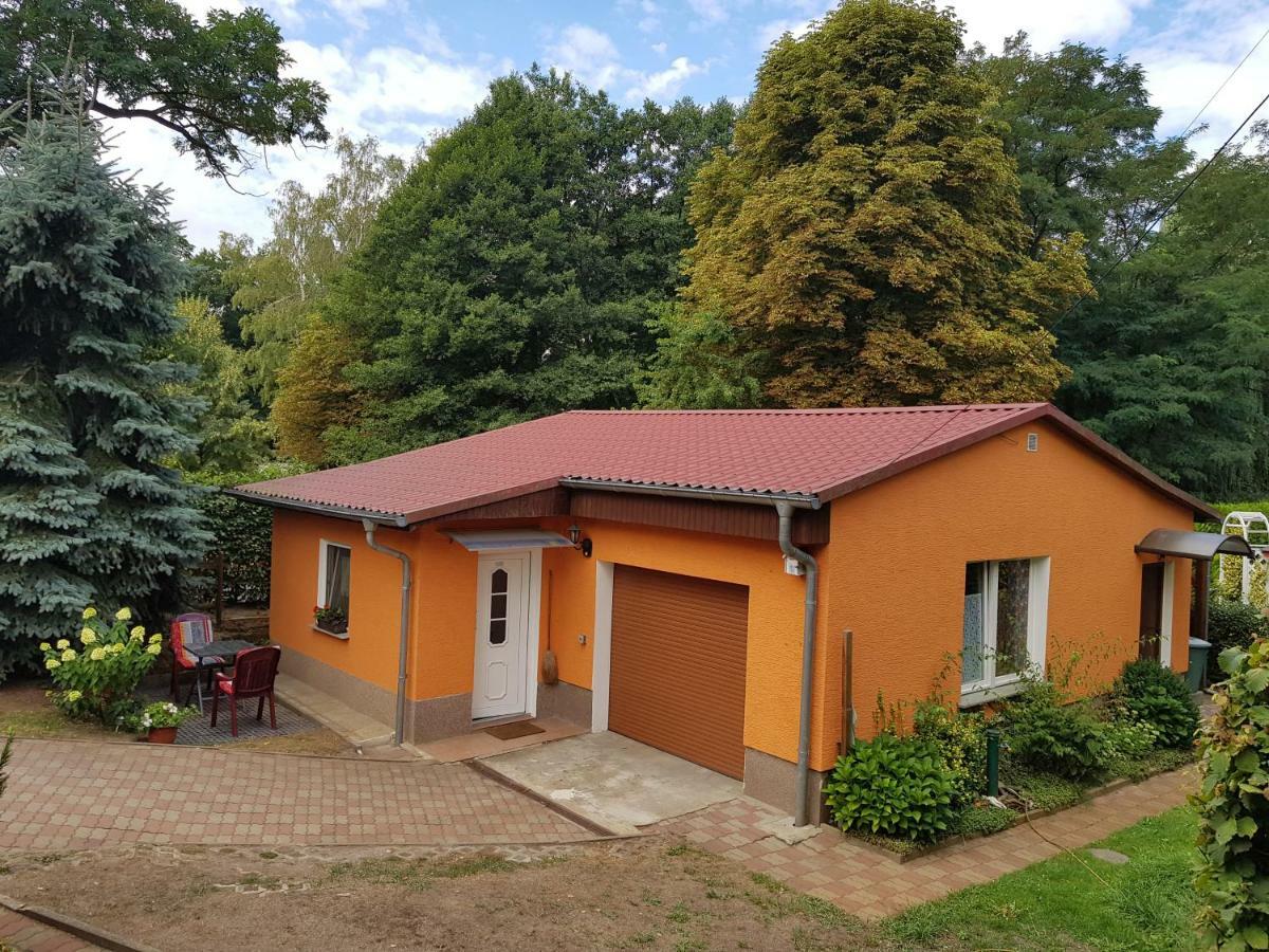 Ferienhaus Dubener Heide Lägenhet Bad Düben Exteriör bild